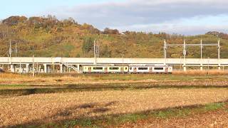 青い森鉄道 青い森701系(11ぴきのねこラッピング)4520M 八戸～北高岩 2019年11月4日