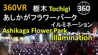 【360VR 】あしかがフラワーパーク イルミネーション Ashikaga Flower Park illumination