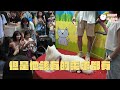 『多比的首場見面會』首次封面女郎！？史上最大寵物展 薩摩耶多比dobby is free