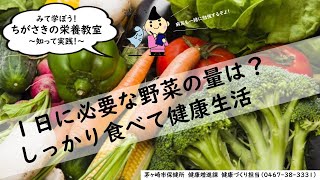 みて学ぼう！ちがさきの栄養教室「１日に必要な野菜の量は？しっかり食べて健康生活」