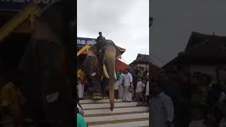 Kerala Elephant Puthuppally Sadhu #shorts