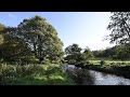 Faughan Valley: From Fragments to Thriving Forests