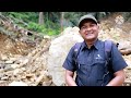 lagi viral..hunting aglonema in the forest aceh..