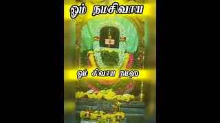 திருவண்ணாமலை ஓம் நமசிவாய #ஜோதி #தீபம் #shiv#shivshankar #namashivaya#omnamahshivaya #arunachalane