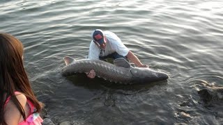 Junior Driscoll - Strike Dam Sturgeon - May 2015