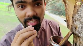 জিরান কাঠের খেজুরের রস  l Rs bulbul vai official l virel video