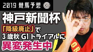 【競馬予想】 2019　神戸新聞杯　ダービーの延長戦！！