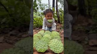 Survival Skills: Lotus Seed with single mom in Forest #camping #bushcraft #survival