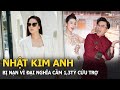 Nhật Kim Anh bị nạn vì Đại Nghĩa cầm 1,3tỷ cứu trợ