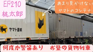 【桃太郎】EF210 お昼の貨物列車62レ 1072レ 1073レ 1050レ 5085レ 1052レ 2059レ（カンガルーライナー） 20230618