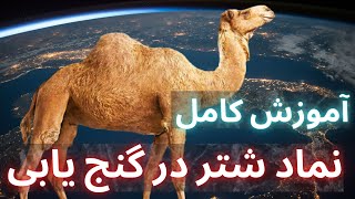 نماد شتر   ||  نماد شتر در گنج یابی  نماد شتر در دفینه یابی ||  استاد پوارو کوهسار