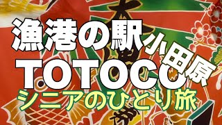 シニアのひとり旅　漁港の駅　ToToCo小田原へ　美味しいもの探したい