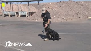 Meet Murphy: New ATF K9 protecting the Valley