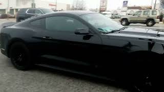 Spotted another 2015 Ford Mustang GT in Oak Lawn, Illinois.