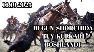 BUGUN SHÒRCHIDA TUY KUPKARI BULDI 16.10.2023