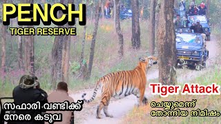 PENCH TIGER RESERVE | മൗഗ്ലിയുടെ കാട്ടിലൂടെ ഒരു സഫാരി | Tiger Close Encounter #wildlife