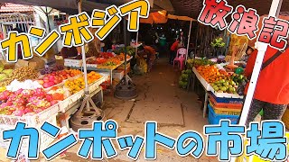 【大迷宮】カンポットの市場に初潜入したら中がえらいことになってた☆カンボジア旅行Vlog【のびたび】アラフォー無職ひとり旅暮らし