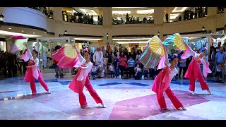 Chinese Fan Dance (中国扇子舞)