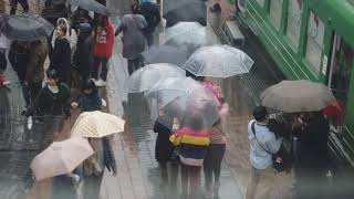 Japan 2018 Shibuya Crossing