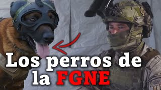 🎙️Perros de INTERVENCIÓN en las Fuerzas Especiales de la Armada