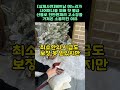 실제사연 베트남 며느리가 국수집에서 받은 월급 천만원으로 시어머니에게 헌옷한벌드리고 오히려 칭찬받은 이유