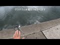 ハゼの釣り方　ハゼ釣りの仕掛け