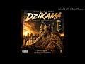 🎵 Royal Son - Dzikama #Zimtronic #afrobeats #africanmusic  #amapiano  #Afrobeat