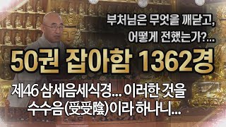 잡아함경... 1207회, 제46 삼세음세식경... 이러한 것을 수수음(受受陰)이라 하나니...