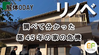 【リノベーション】中古で築45年の家を購入。ひび割れ・シロアリ散々の物件だった...。