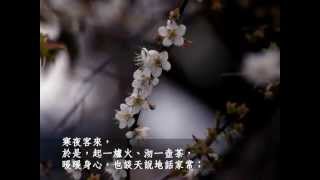 《纔有梅花便不同 ☆ Plum Blossoms In Winter Night》