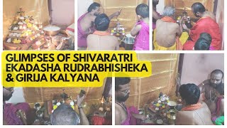 Glimpses Of Shivaratri Ekadasha Rudrabhisheka \u0026 Girija Kalyana