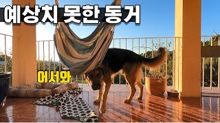 스페인 산골에서 하룻밤 - 스페인 알테아🇪🇸세계여행(12)