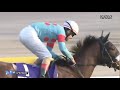 【競馬結果】ジャパンカップ（g1）競馬最高！みんな競馬しよう！★むかない★