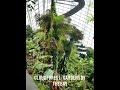 《gardens by the bay 新加坡滨海湾花园》official teaser 2