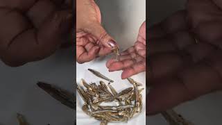 මේ විදියට හාල් මැස්සො සුද්ද කරමු - How to clean Sprats #shorts