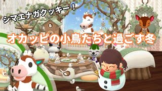 【ポケ森】てのりシマエナガいっぱい欲しい😆オカッピの小鳥たちと過ごす冬【コンプリート】