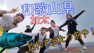 【和歌山県 加太漁港を調査した件】　2nd season