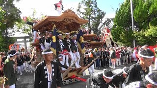 平成30年 熊取だんじり祭 大森神社 七山の宮入 境内にて