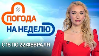 Без существенных осадков | Погода в Беларуси с 16 по 22 февраля | Плюс-минус