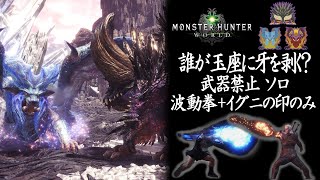 【MHW】イベント 誰が玉座に牙を剥く？ 武器禁止 ソロ 波動拳＋イグニの印のみ