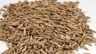 Some Outstanding Substitutes for Caraway Seed That You Can Use