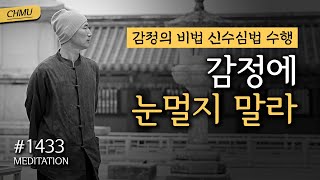 1433일 수행ㅣ삶의 질을 올리는 방법은 내 느낌과 감정이 평온할 때다 ✔️감정에 눈멀지 말라 ✔️감정의 비법 신수심법(身受心法) 수행