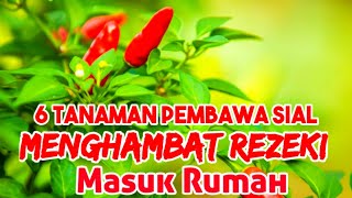 6 Tanaman Pembawa Sial Mengjambat Rezeki Masuk Rumah