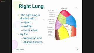 1/ Pneumothorax ខ្យល់ចូលក្នុងស្រោមសួត  T-hay Sakiry