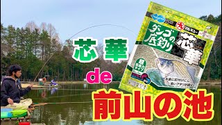 芯華で爆釣！？ 前山の池でへらぶな釣り