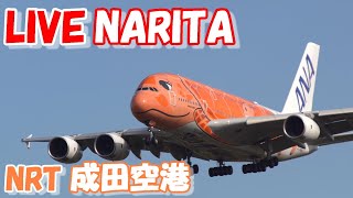 🔴LIVE at NARITA International Airport Plane Spotting　2025.01.18 成田空港ライブカメラ 成田空港　NRT/RJAA