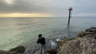 Bonito Blitz at the Destin East Jetty | New Species on the Channel!