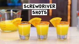 Screwdriver Shots