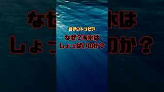 なぜ海水はしょっぱいのか？ | 世界のトリビア