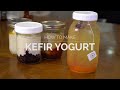 How To Make KEFIR Yogurt